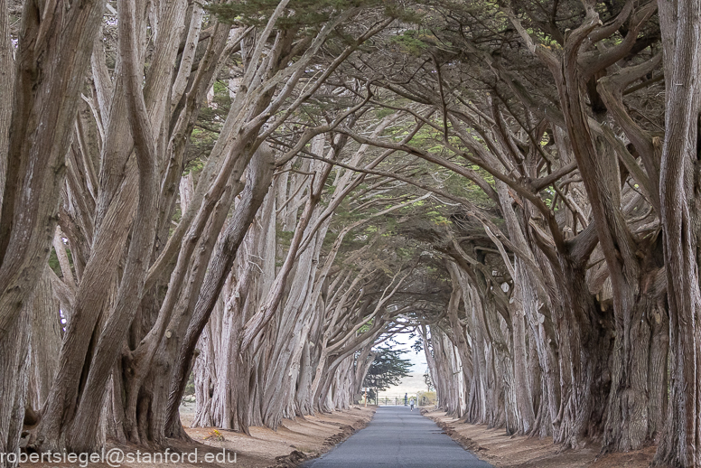 point reyes